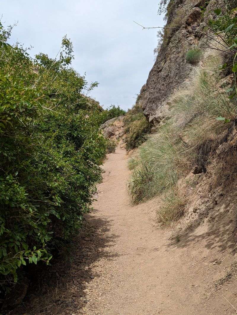 Leave No Trace Principles To Protect Nature