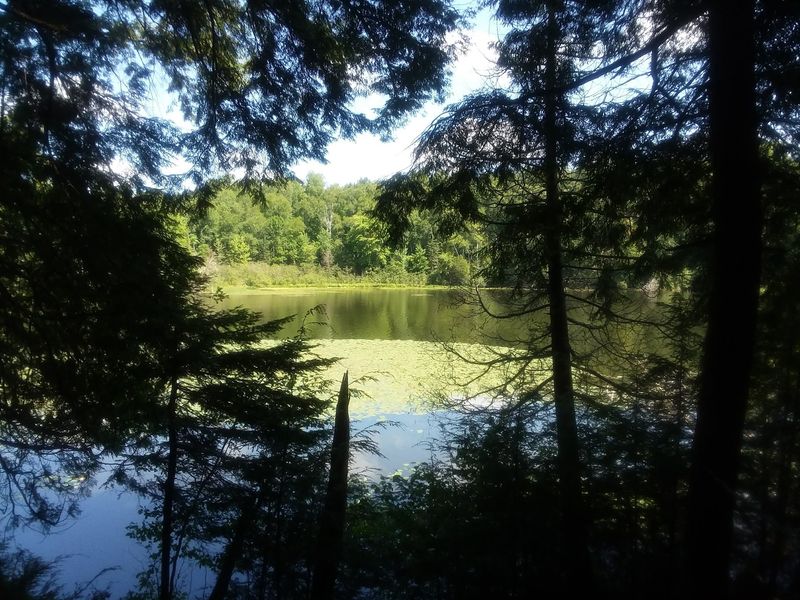 Bogs, Lakes, And Other Quiet Surprises Along The Way
