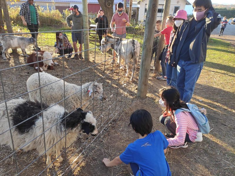 The Petting Zoo That Quickly Becomes A Favorite
