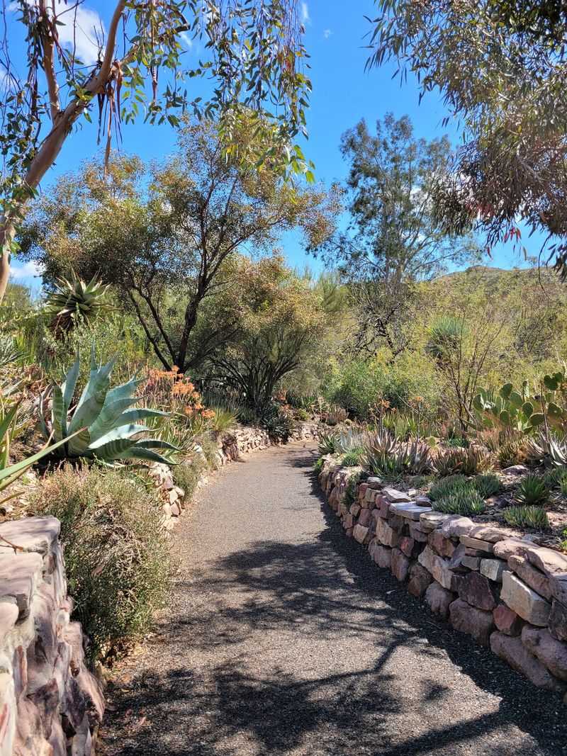 The Main Trail Loop Makes An Easy Start