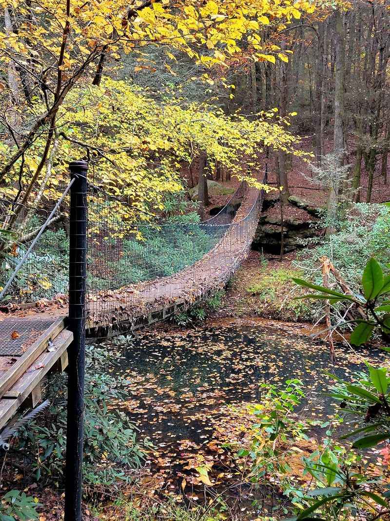 Byrd Lake ADA Trail, Cumberland Mountain State Park, Crossville
