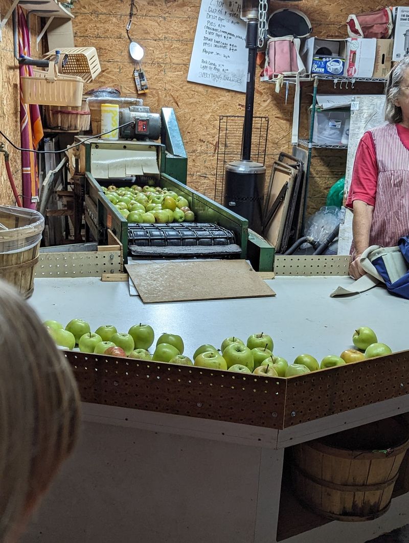 Field Trips That Actually Teach Something