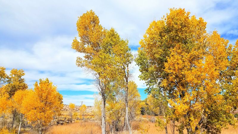 Fall Color, Quiet Sunsets, and Who Will Love It