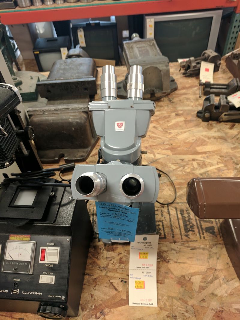 Lab Gear And Pure Weirdness