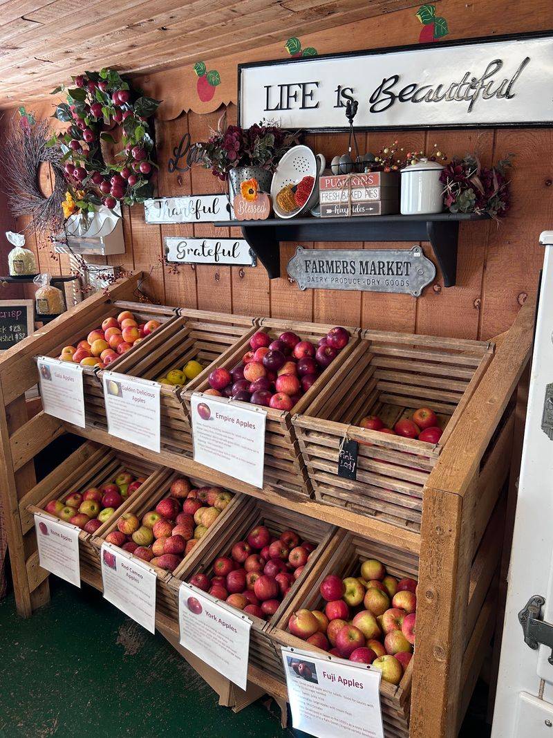 Picking Your Own Apples