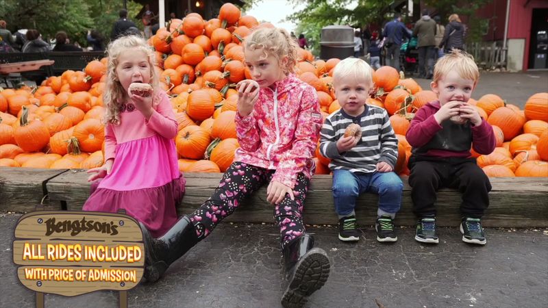 Apple Cider Donuts and a Menu Beyond Hot Dogs