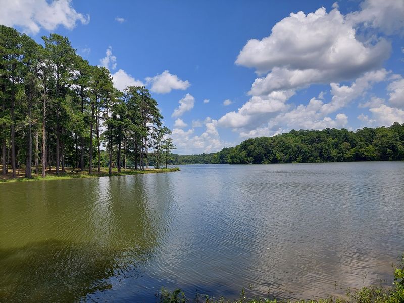 Five Miles Of Trail Around The Water