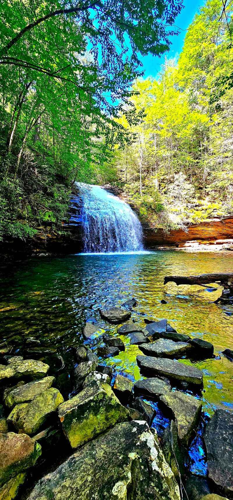 Stinging Fork Falls State Natural Area, Spring City, TN