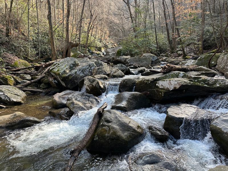 Chestnut Knob Trail, South Mountains State Park, North Carolina
