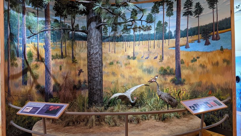 Exhibits, Displays, and a Twelve-Minute Film