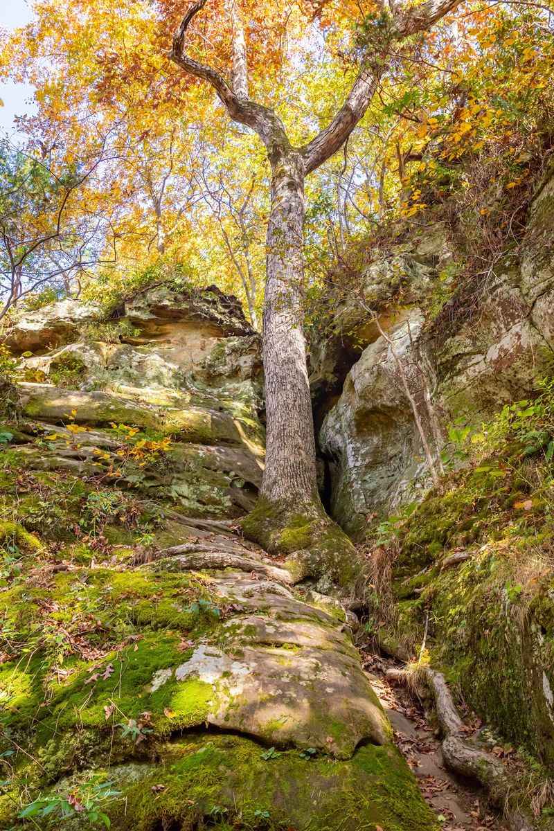 Trails for Every Ability, From Strolls to Serious Climbs