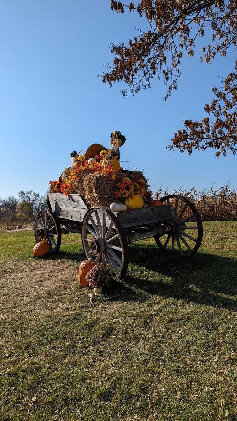 Hay Rides Around The Farm