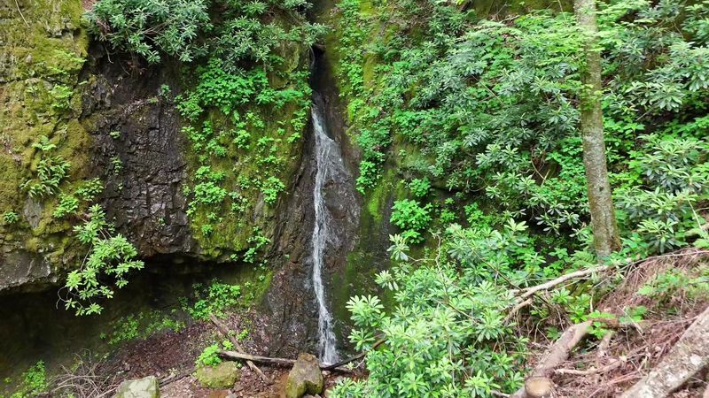 Backbone Falls Loop, Cherokee National Forest, Shady Valley Area