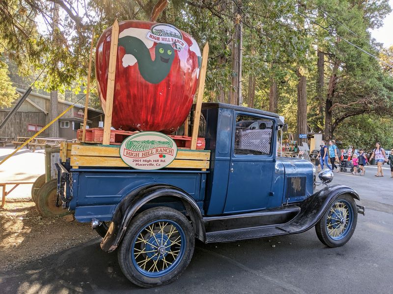 Tractor Rides Through The Orchards