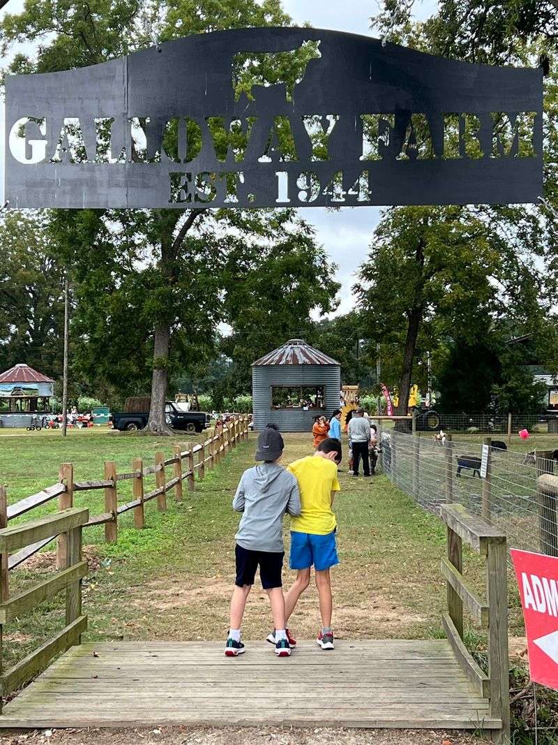 Galloway Farm (Home Of Maze Craze)