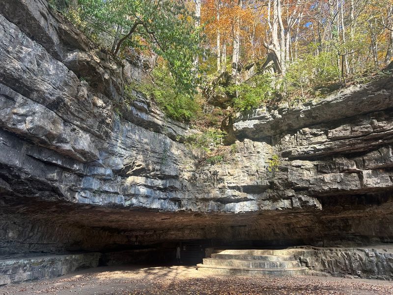 Dunbar Cave State Park (Clarksville)