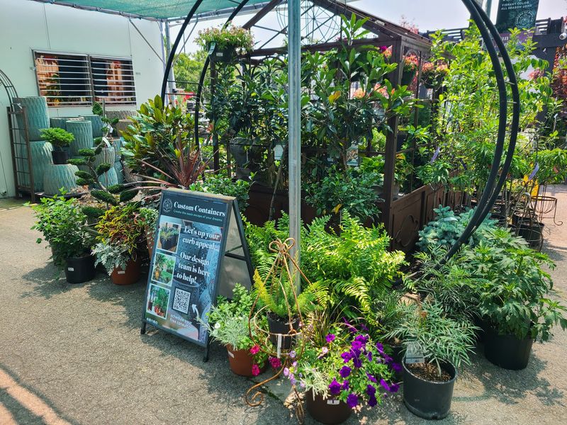 Outdoor Plants, Trees And Shrubs For Every Yard