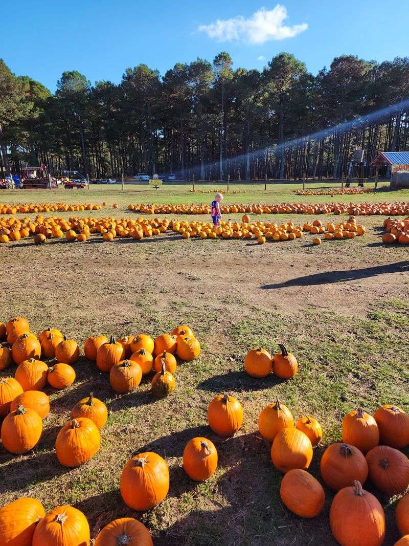 Why Families Keep Marking It On The Calendar
