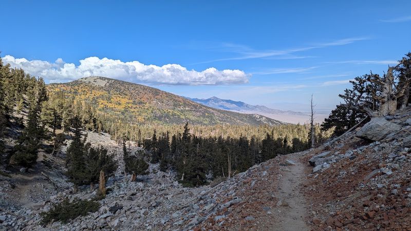 Three Miles of Shade, Sun, and Rock