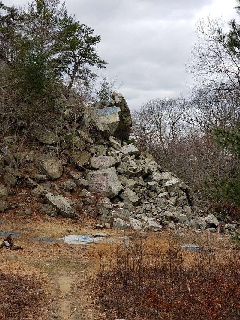 Profile Rock And The Memory Of A Chief