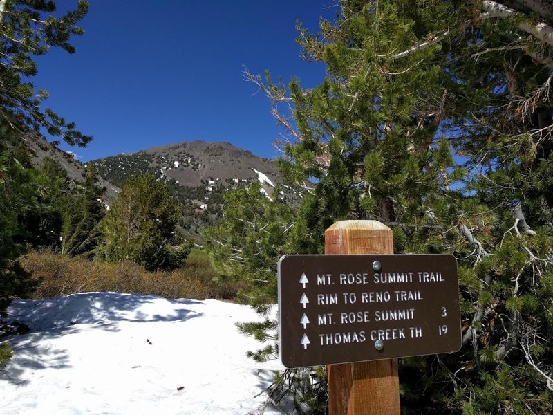 A Trailhead That Starts High And Stays Cool