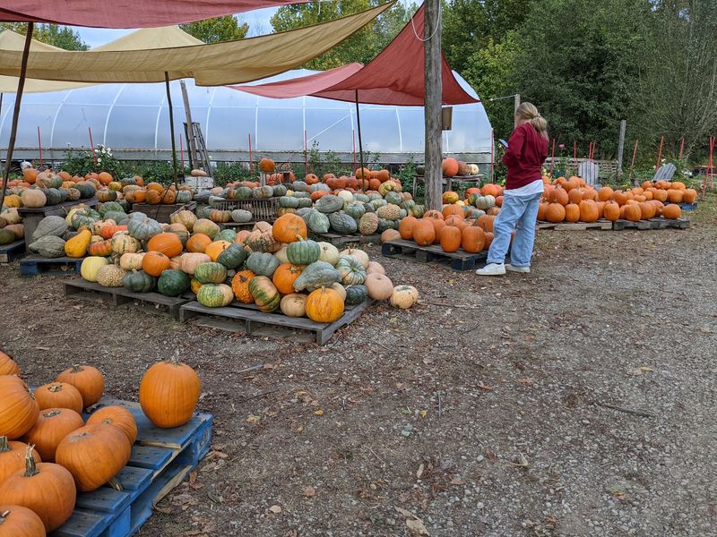 Winter Squash Deserves The Spotlight Too