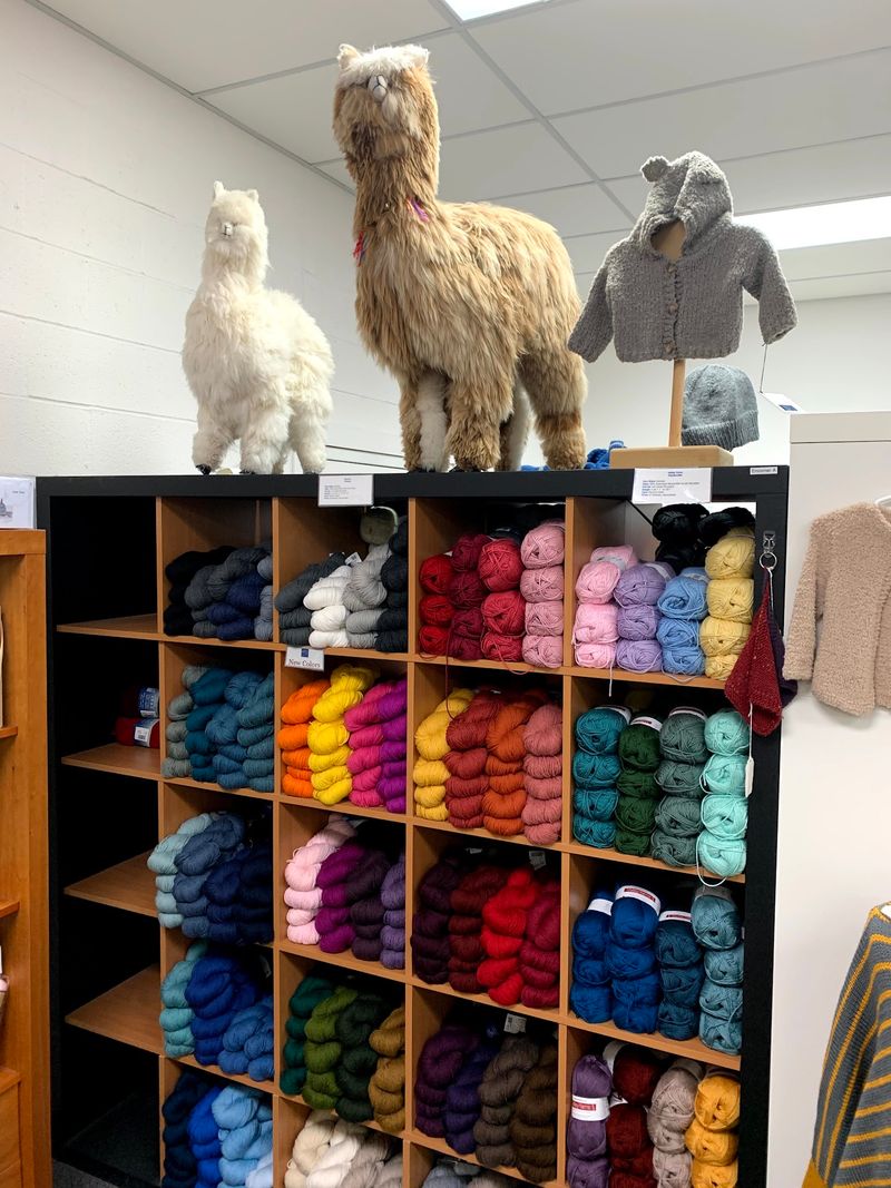 WEBS – America's Yarn Store