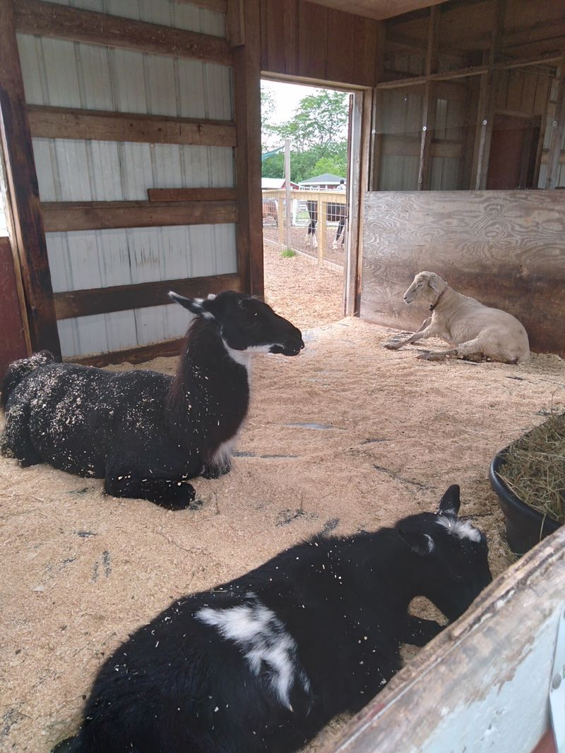 Inside The Renovated Farmyard Barn