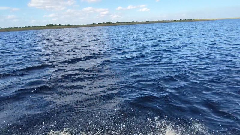 A Shoreline Base Near Okeechobee City