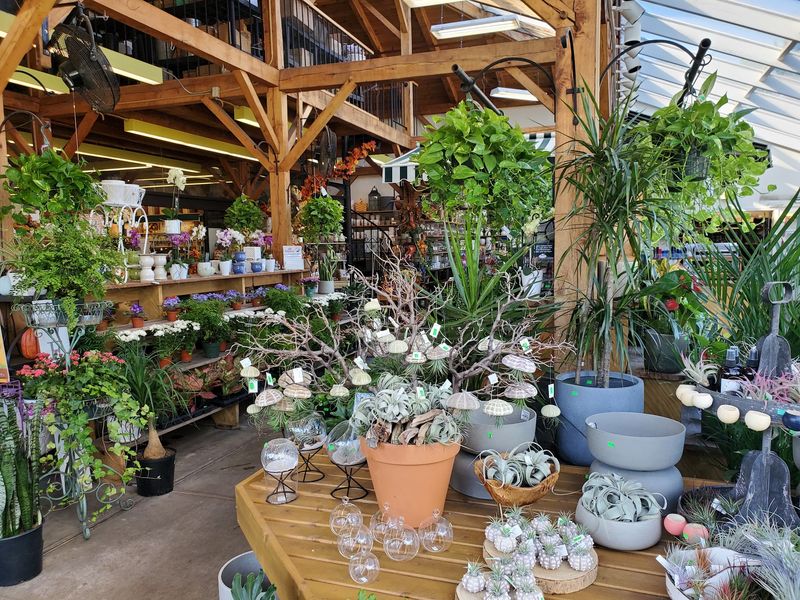 Flowers, Plants, And A Market With Deep Community Roots