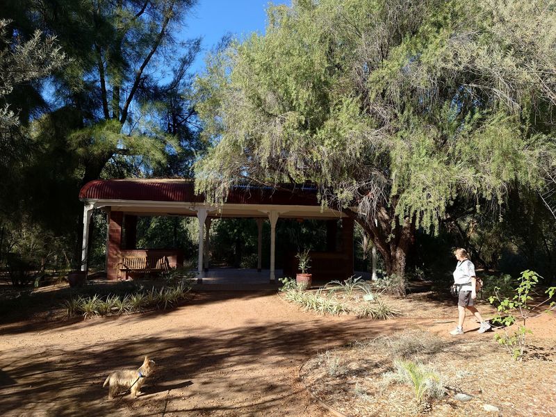 Picnics, Plant Sales, And Souvenirs To Take Home