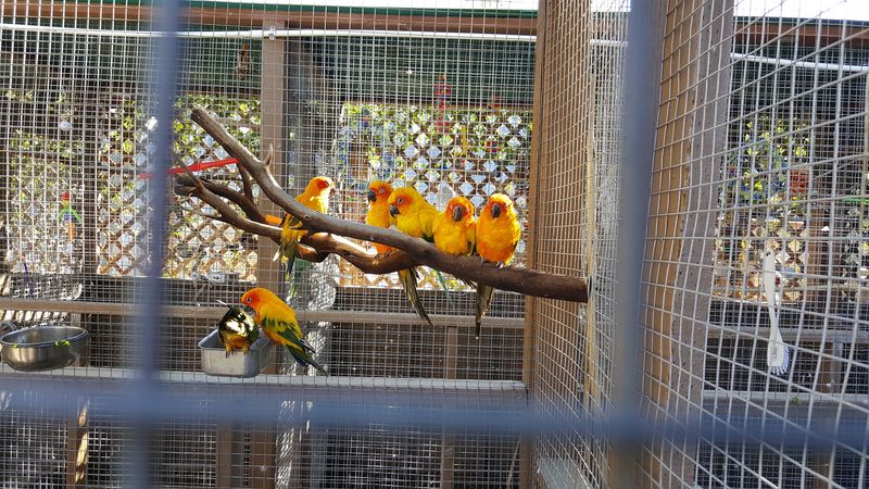 Timing The Visit Around Desert Heat