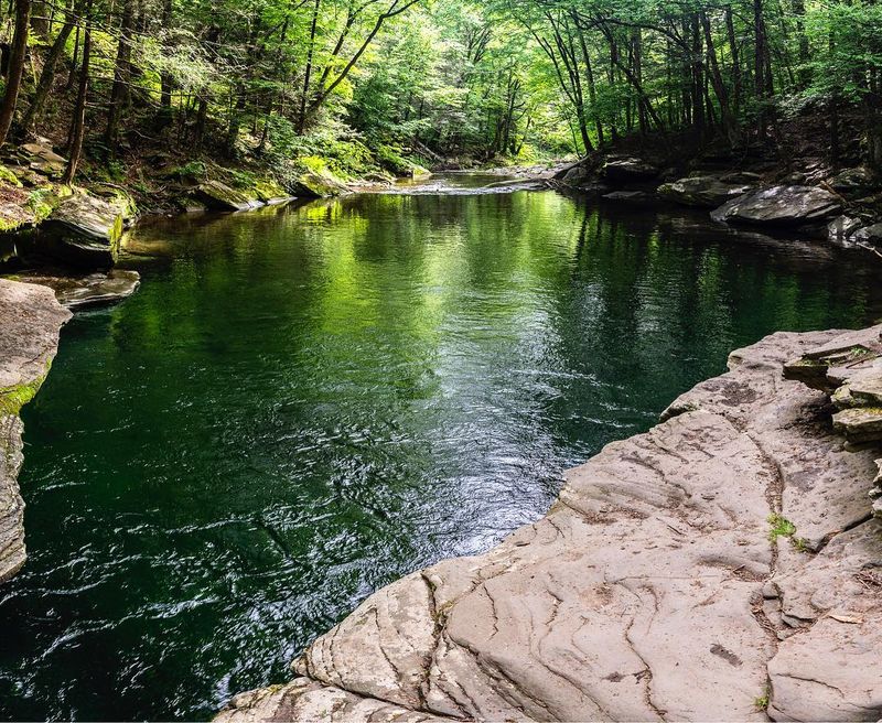 Sparta Mountain Wildlife Management Area