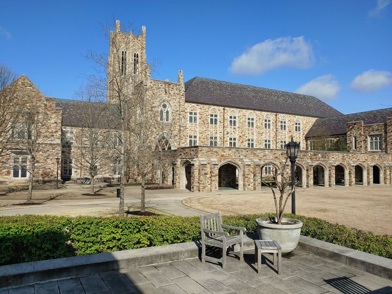 Internships With St. Jude, The Zoo, And Fortune 500 Firms