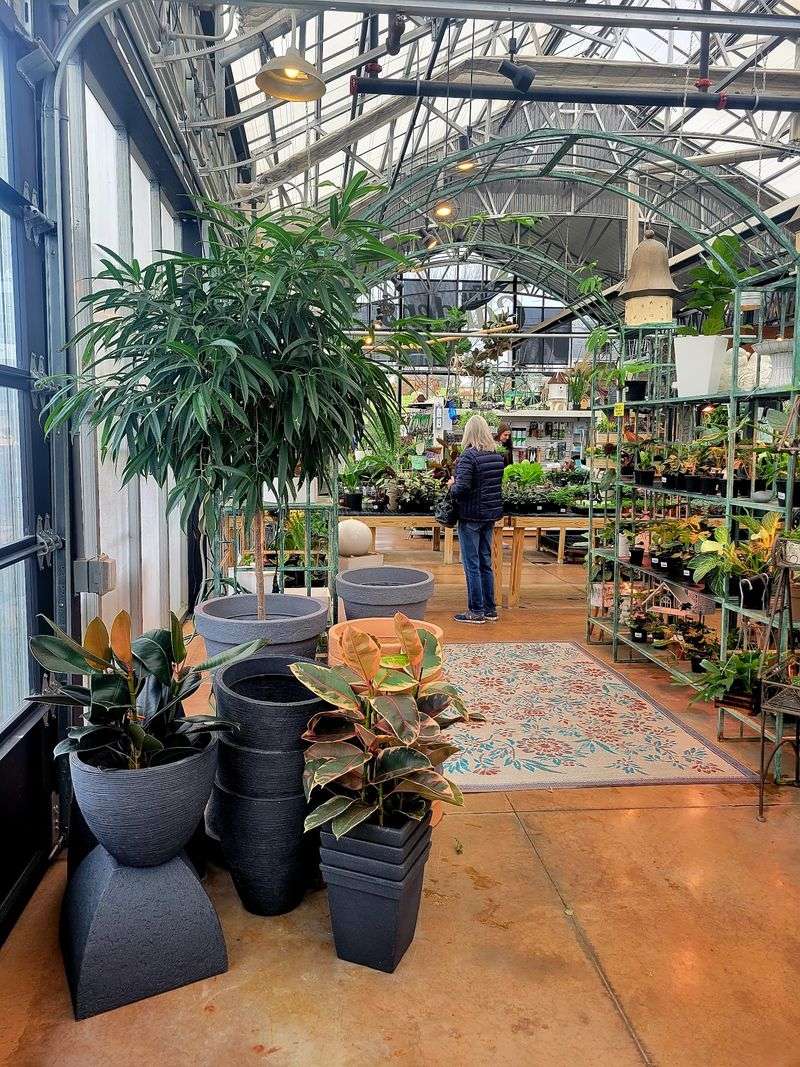 Free Potting Service That Feels Like Magic