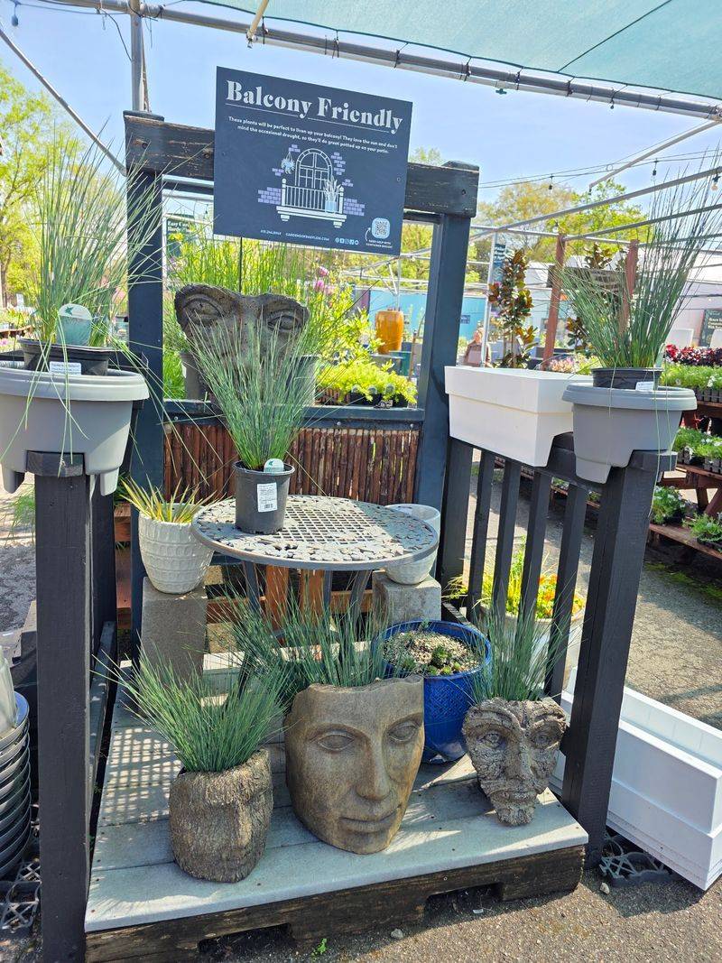 Pots So Pretty You Might Forget The Plant