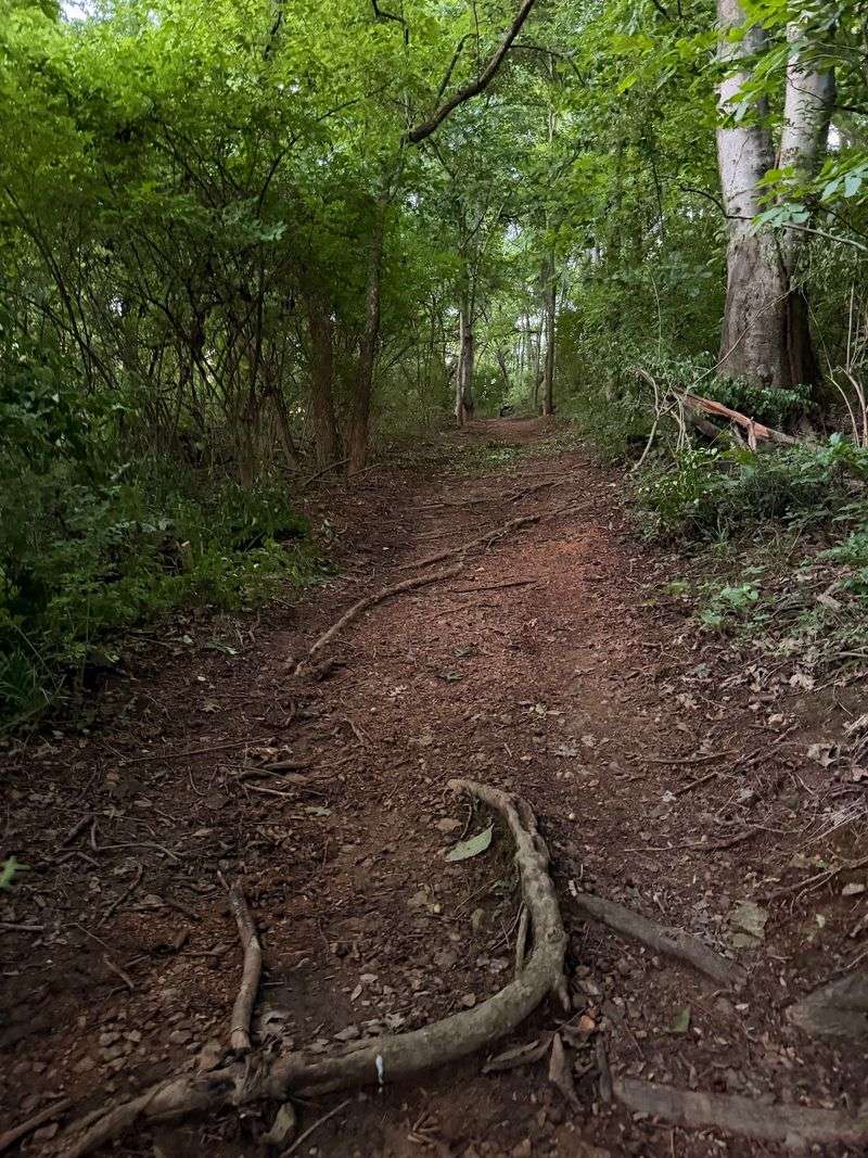 Rough Ground And Honest Footing