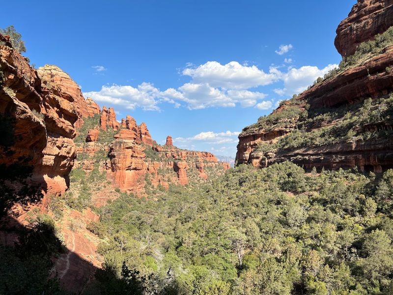 Green Life In A Land Of Red Rock