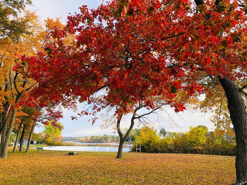 Upper Charles Trail (Milford), Milford