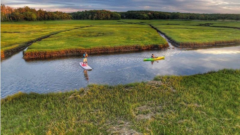 Why Salt Marshes Matter More Than They Look