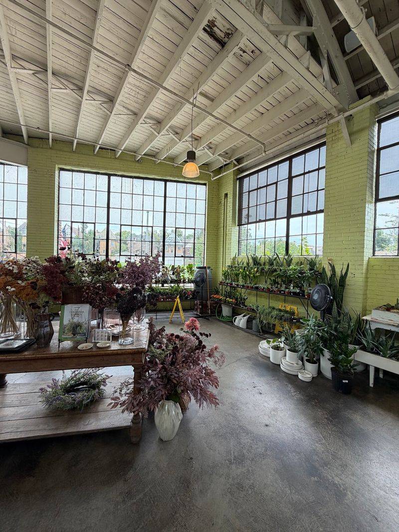 Shop For Houseplants After The Last Bite