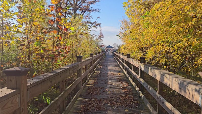 Moon Lake Scenic Overlook