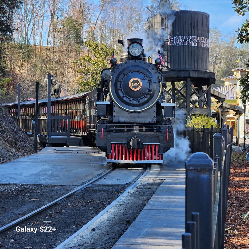 The Steam Train And The Eagle Sanctuary