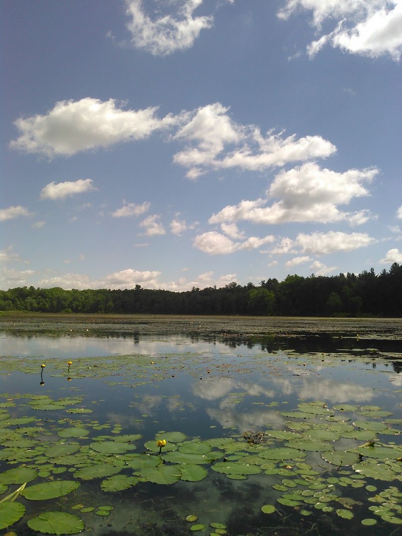 Simsbury