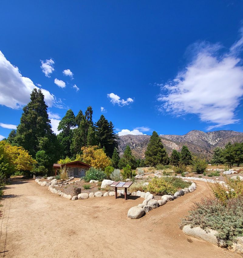 Los Rios Rancho And Century-Old Orchard Roots