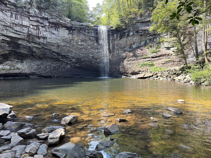 Foster Falls Recreation Area