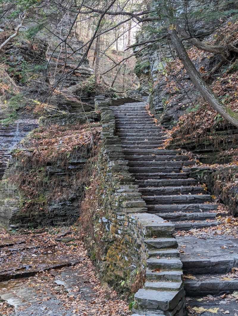 A Gift That Became Public Land