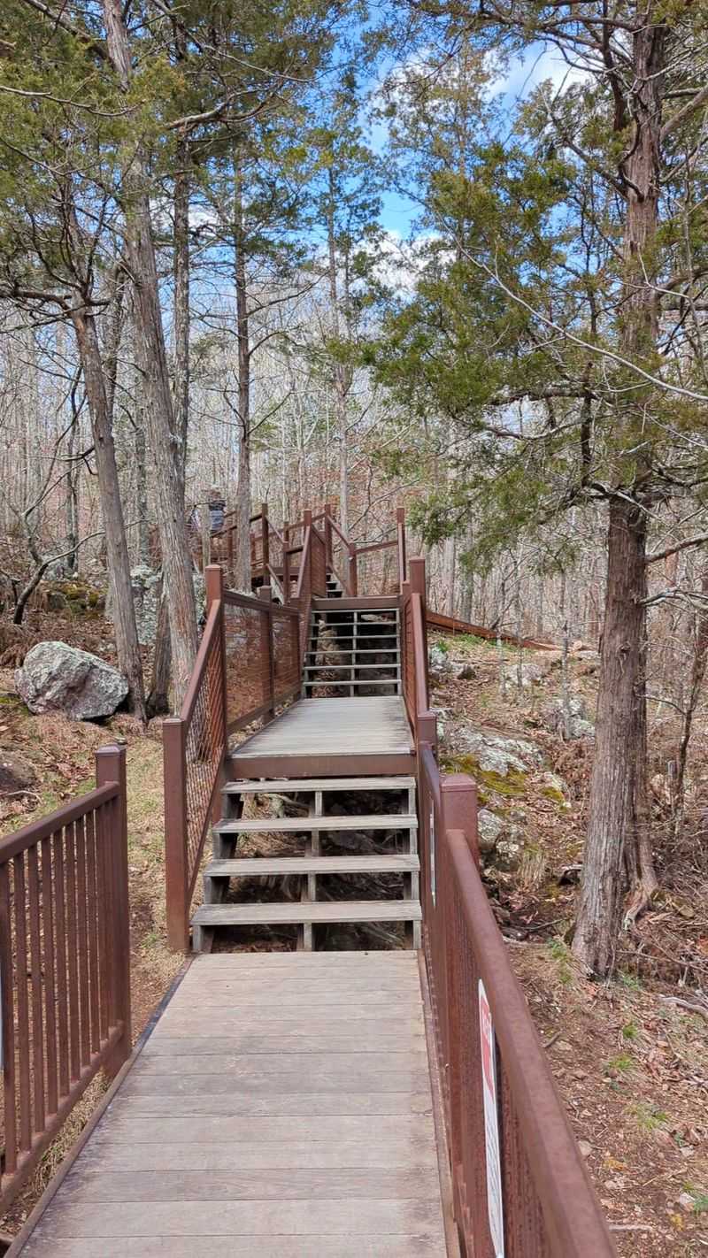 Camp Under Ozark Stars