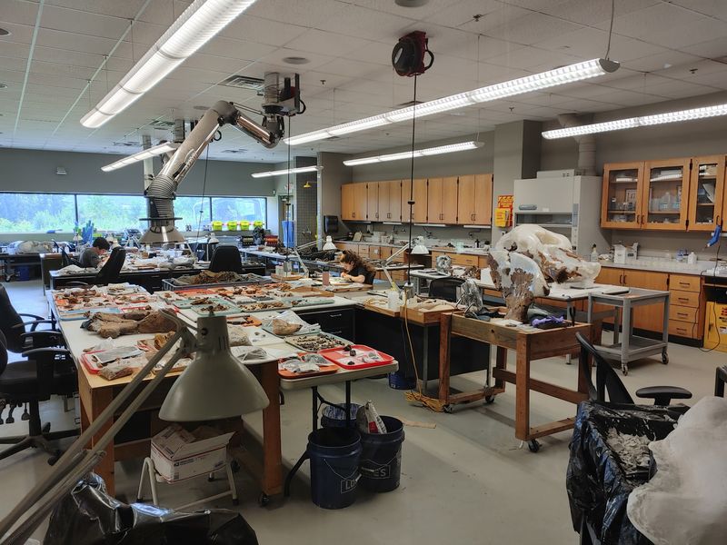 Hands On Discovery Center And Gray Fossil Site