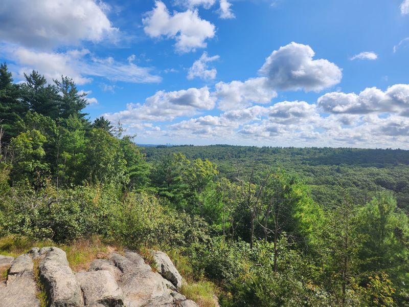 Noanet Woodlands